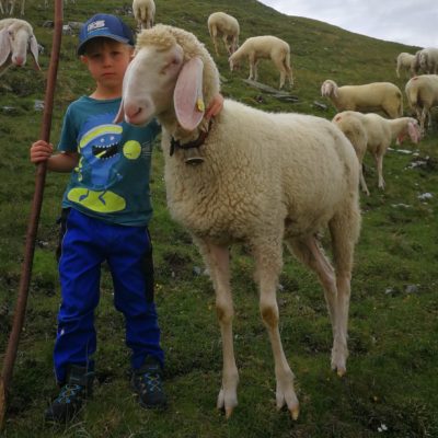 Lukas Prader, Götzens, Jungzüchter