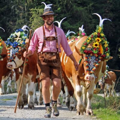 Alexander Moser, Alpbach, Landwirt und Ortsbauernobmann